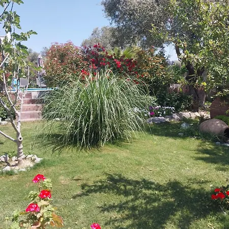 Panzió B&B Kusadasi
