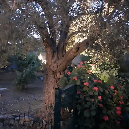 Oda ve Kahvaltı B&B Kusadasi *